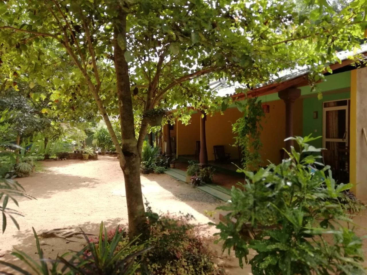 Sigiri La Veranda Lodge Kibissa Екстер'єр фото