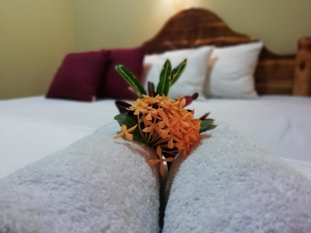 Sigiri La Veranda Lodge Kibissa Екстер'єр фото